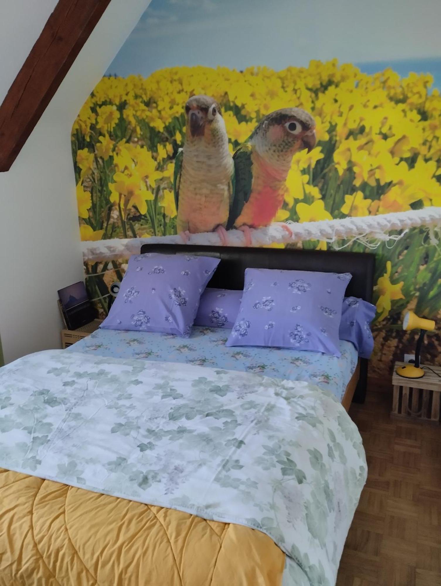 Chambres D'Hotes Du Clos Du Roi Pontorson Eksteriør bilde